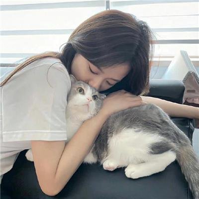 秃鹰之城